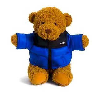 THE NORTH FACE Nuptse Teddy Bear Blue RARE